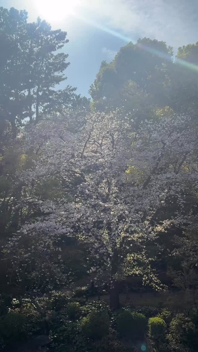 The beauty of Nature also lives inside of you. It is your natural state, unfiltered and open hearted.