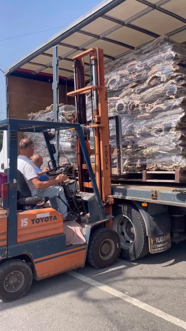 Over a decade of experience! 🕰️
We have been exporting and supplying cork for a decade, always driven by a sense of responsibility, integrity, and a commitment to growing alongside our partners and clients.
Every new order challenges our work and our progress, teaching us something new and helping us refine our process. Your success is our success and everything begins and thrives on the quality of our products and services.
#corkbark #petsupplies #wholesale #reptile #terrarium