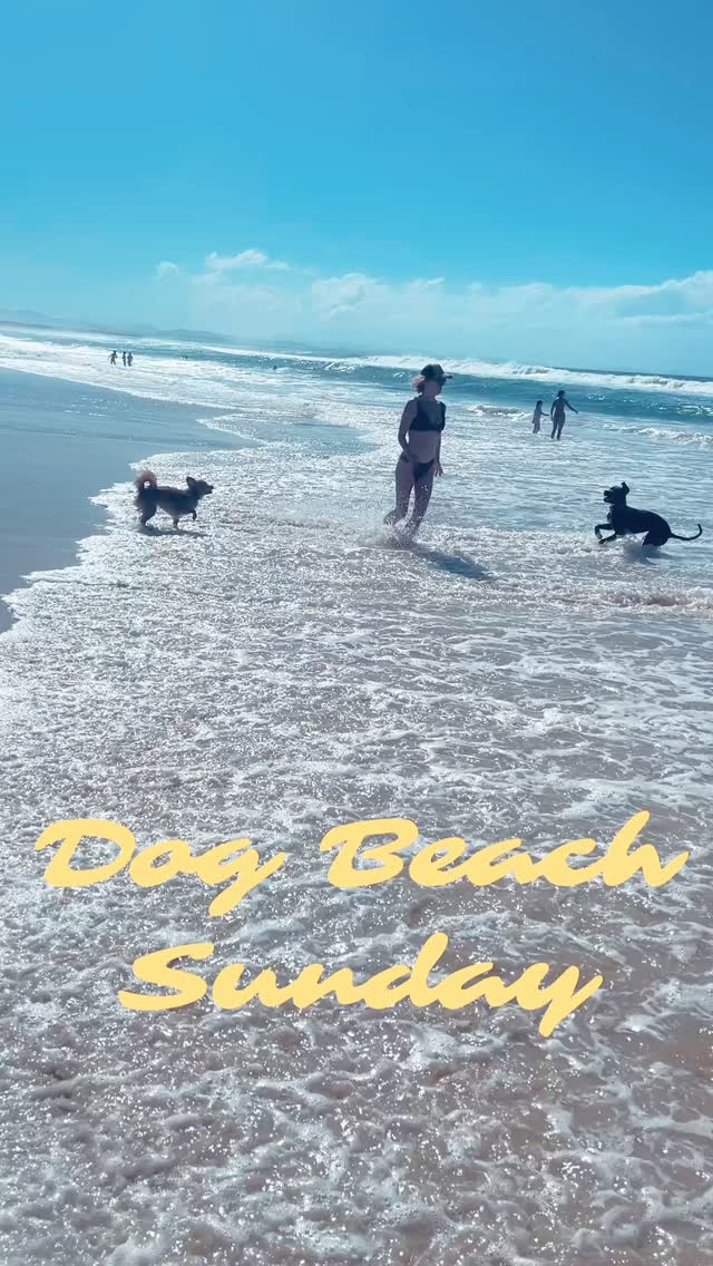 Im not going to lie, Ive been stretched recently. There has been a lot going on and a lot of big decisions looming. Yesterday I felt like I needed a big holiday. Time out to integrate and reflect on all that has happened. But today we headed off for the day to the dog beach and I honestly feel like I’ve had a holiday! Sometimes the little things can add up more than the big things to positively impact our wellbeing. For me, sun, sand, sea and dogs are a real medicine 🏝️ Thank Mother Nature 🙏