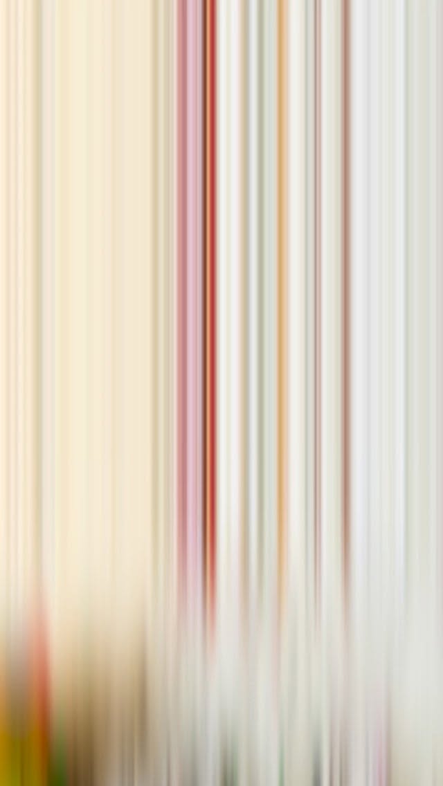 Linking up trails and packing out trash in Pisgah National Forest’s Middle Prong Wilderness, sometimes remembering to take photos too