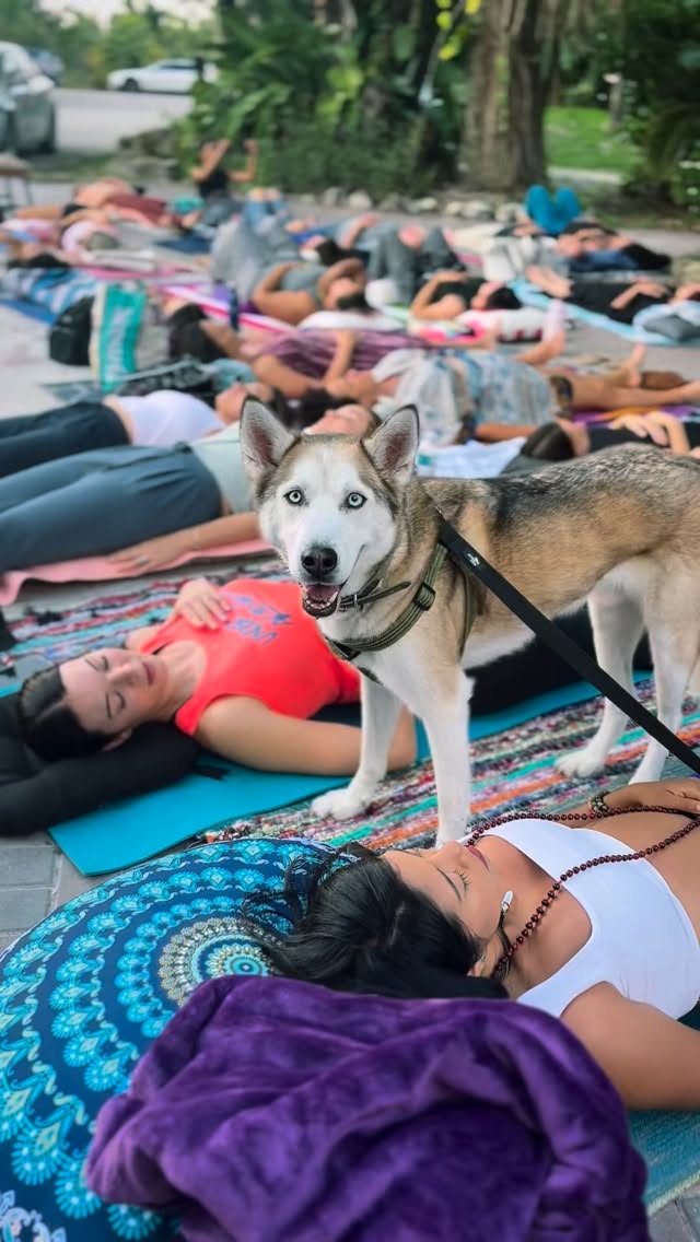 Join us Friday April 17 to celebrate our Sound Bath # 450 at @botanica_organica please@bring yoga mats, blankets and small cushions 🪶🔥