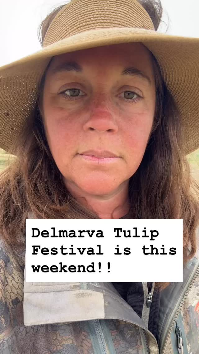 Join us for the first annual Delmarva Tulip Festival! We have a great weekend full of food truck partners, music, yoga, Tulip and Paws and so much more! Book your tickets online for Saturday and Sunday April 11 and 12th. #upicktulips #delmarvatulipfestival #upickflowers #easternshoremd #dorchestercountymd