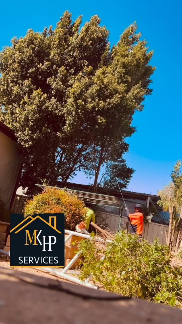 🌳 Is your yard turning into a jungle?
Overgrown trees, messy branches, or unsafe limbs? We can help!
✅ Tree cutting & pruning
✅ Garden cleanup
✅ Fast & reliable service
✅ Affordable prices
📞 Contact us today for a free quote!
🧹 If you mean junk / rubbish removal
Writing
🏠 Got junk in your home?
Old furniture, unwanted items, or clutter taking up space?
✅ Fast junk removal
✅ Affordable rates
✅ Same-day service available
📞 Message us 0477948766