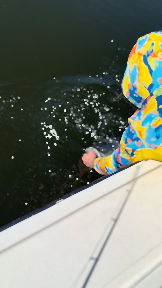 Lots of action today with fish flying shorts, keepers, and some overs in the mix. Every single one went back to swim another day with opening day just hours away.
Couldn’t have asked for better conditions finally a break in the weather and the bite was absolutely on fire. If today was any preview… things are about to explode 🔥#bluefinsoundcharters #newrochelleny #bass #fishing #litetackle
