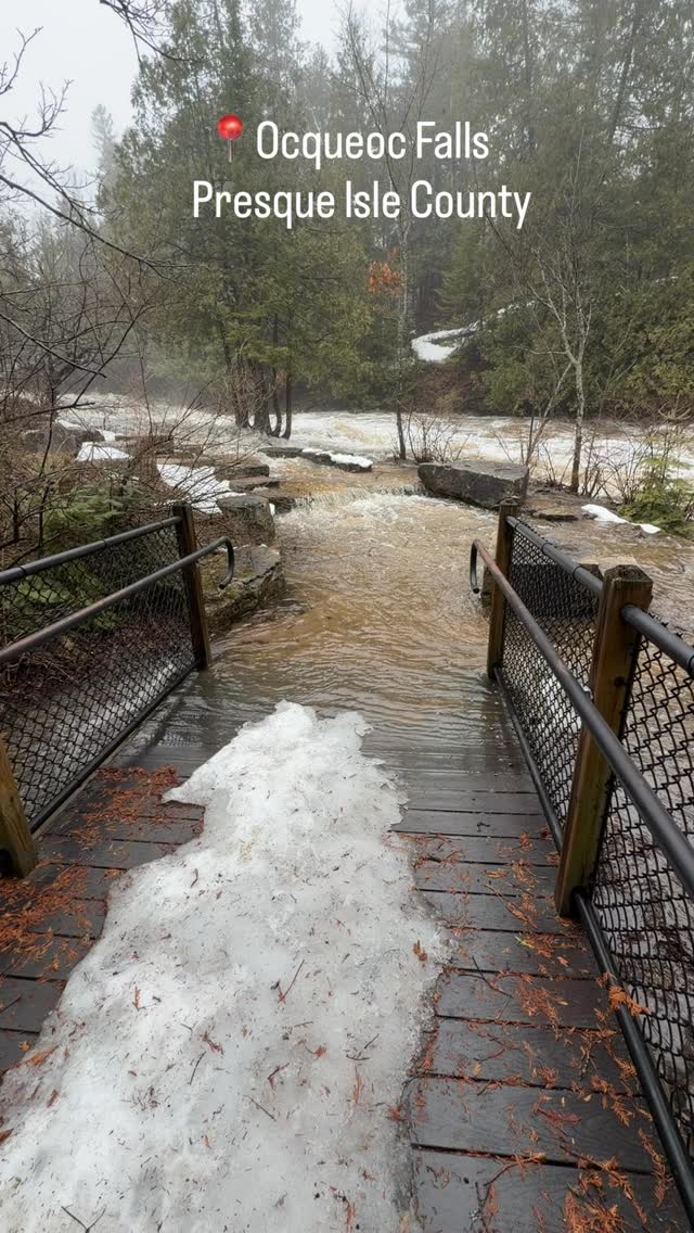 Historic flooding in Northern Michigan is turning tranquil waterfalls into whitewater. This is Ocqueoc Falls in Presque Isle County on April 14, 2026. What effect does this have on the river’s ecology? How much marine debris is it carrying? #extremeweather #greatlakes