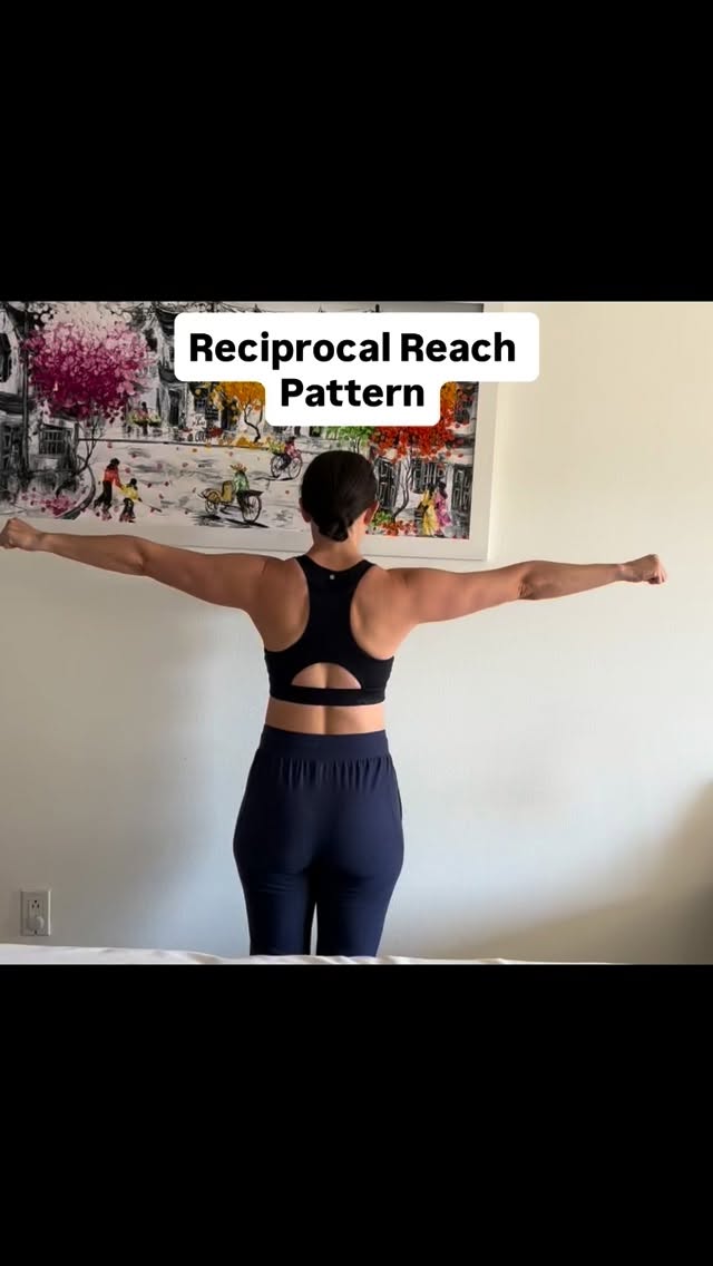 The Functional Movement Screen helps uncover movement limitations and asymmetries before they turn into pain or injury. One of the most important patterns we look at is the reciprocal reach shoulder pattern, which challenges shoulder mobility, thoracic rotation, posture, and core stability all at once. When this movement is limited, it can affect everything from lifting and training to everyday movement quality. Better awareness leads to better performance.
.
A good screen shows smooth, controlled movement with no pain, major compensation, or side-to-side imbalance. In the reciprocal reach shoulder pattern, that means the shoulders move freely, posture stays upright, and both sides perform similarly. A poor screen may show limited mobility, instability, asymmetry, or discomfort during the movement. These findings can point to restrictions in the shoulders, thoracic spine, or core that may increase the risk of injury or reduce overall movement efficiency.
.
See bio for a full list of online and in person seminars .
#functionalmovement #functionalmovementscreen #massagetherapist #massagetherapy #orthopedicassessment