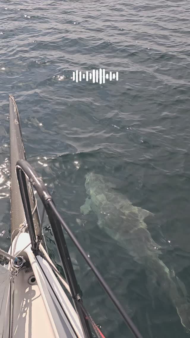 Maxximize your lifestyle 🚀