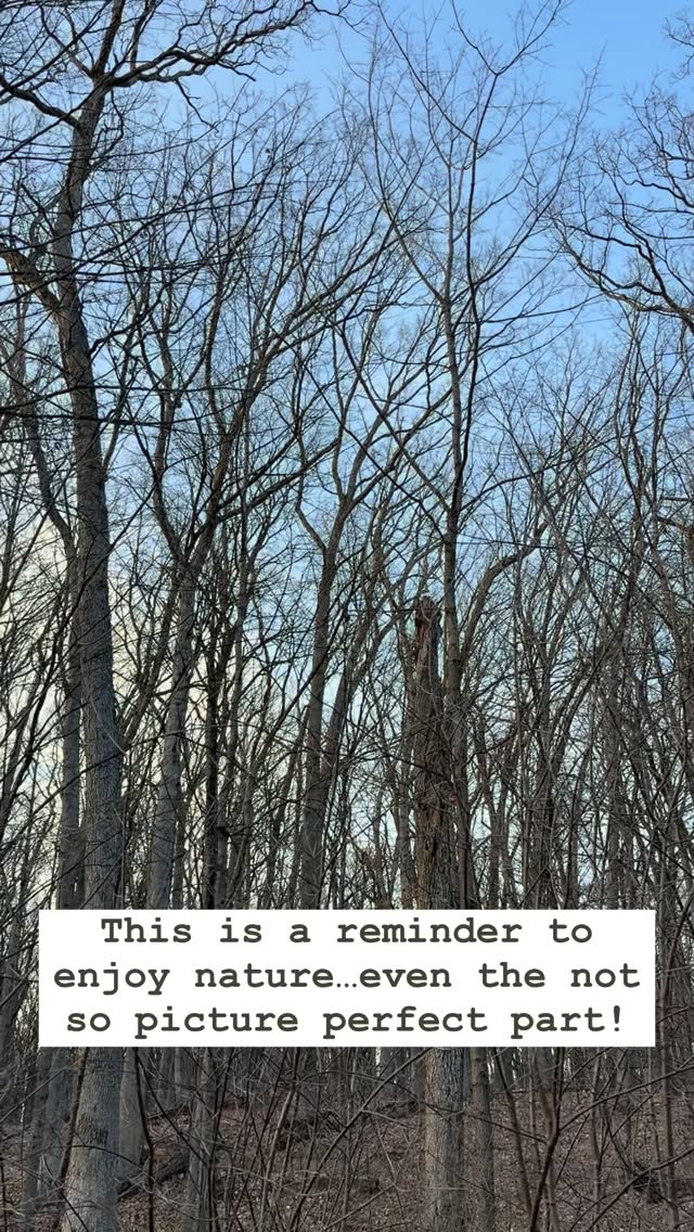 This Earth month we’re reminding you to enjoy the beauty of nature.
Beauty doesn’t always have to be lush prairies, snow capped mountains, turquoise water, or cute fuzzy animals. Beauty can be found in the way the trees sway in the wind, the sound of water trickling in a stream, or the moss covering a rock.
Look around you and enjoy all that nature has to offer. #shopgreenhaven #ecofriendly #earthmonth #ourpowerourplanet