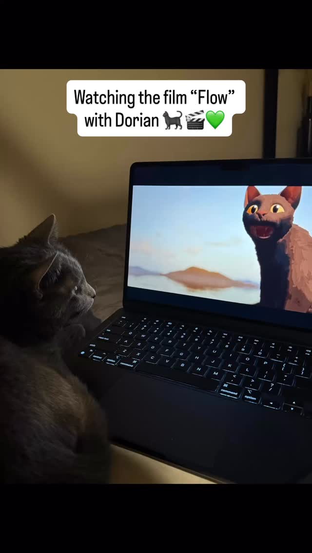 Dorian was absolutely locked in đ we both loved the film âFlowâ đ
If youâre looking for a petsitter in NYC who loves a night in with pets, Iâm only an email away at hailey@nycpetadventures.com đž
#nycpetsitter #nyccats #catsofnyc #cutecats #catsofinstagram