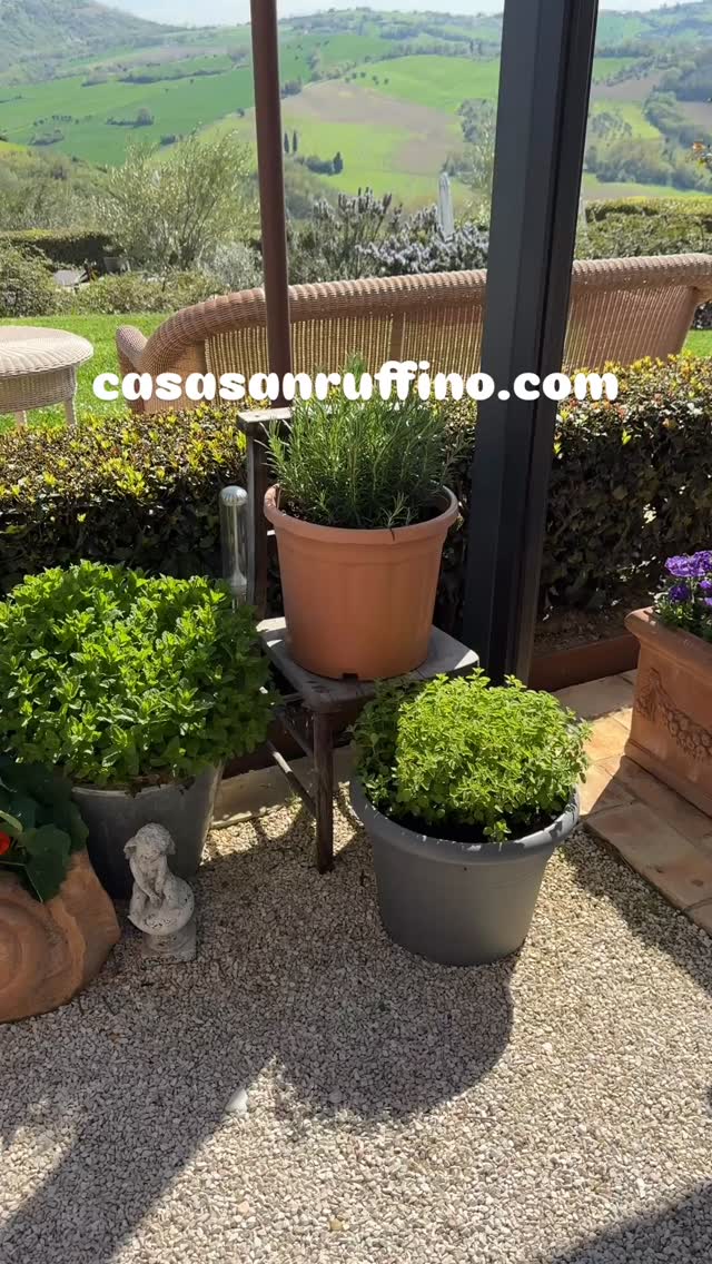 #foodphotography #onthetable #cheflife #gastronomy #chefsofinstagram