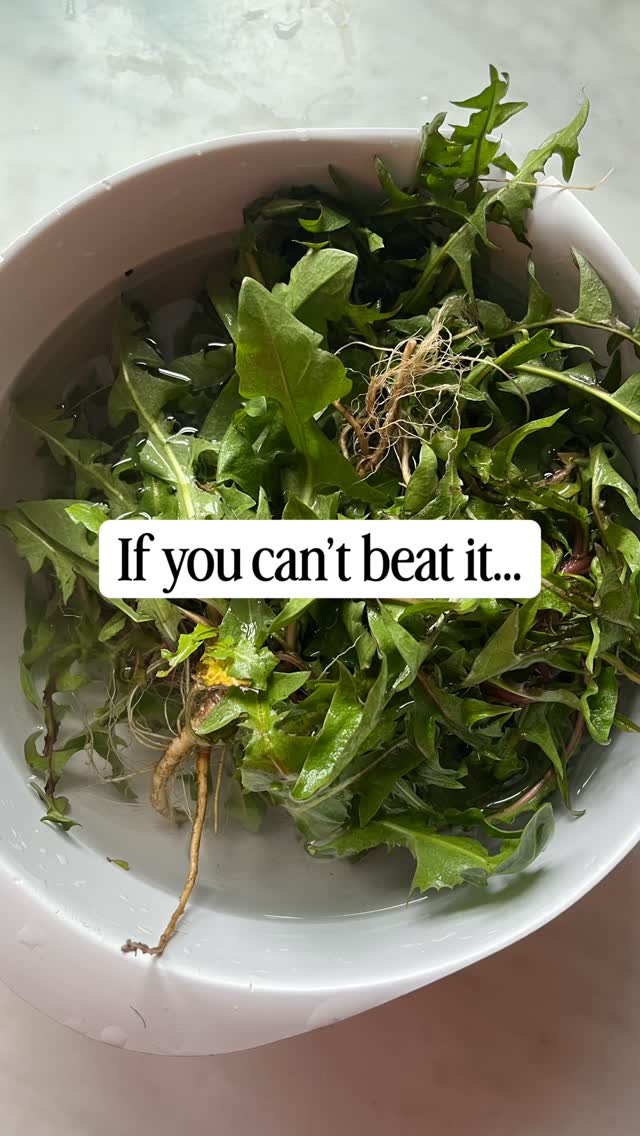 Mælkebøtten er for mange bare ukrudt… men faktisk er den fyldt med nærings og også gavnlige bitterstoffer, som støtter både fordøjelsen og leveren.
Jeg har brugt den i en enkel ret, hvor det vilde og det nærende får lov at fylde – direkte fra naturen og ind i køkkenet. Og den smagte så lækkert 😋
Det er noget helt særligt at spise det, der gror lige omkring os. Det giver både smag, næring og en tættere forbindelse til naturen.
Er du nysgerrig på flere vilde urter og hvordan du bruger dem i din mad?
Så kom med til Ramsløg Madværksted d. 25/4 🌿
Her dykker vi ned i, hvordan du genkender, høster og tilbereder vilde urter i hverdagen. Find linket i bio eller skriv JA TAK, så får du det direkte i din indbakke.
Kunne du finde på at spise dine mælkebøtter?
Inspiration fra @sankesnilde 🙌🌱