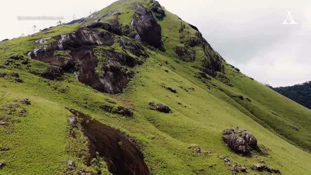 The world is out there. Go find your next chapter.
#acetravelsrilanka #acediaries #tailormade #srilankatravel #srilanka