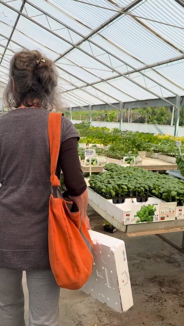 Non sempre riesco a fare le semine di tutti i miei ortaggi, così prendo ciò che manca dalla mia agraria di fiducia 🌿