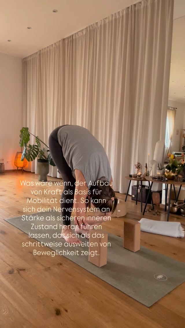 Stärke und Beweglichkeit werden oft getrennt voneinander betrachtet. Mit Blick aus der Nervensystembrille, dürfen sich diese beiden aber vereint zeigen lassen. Durch Somatic Strength Yoga leiten wir deinen Körper durch Haltungen die sowohl Kraft, als auch Beweglichkeit beinhalten. Immer mit dem Fokus auf das Spüren dessen was du machst und wie es sich anfühlt. So verkörperst du Kraft und Beweglichkeit und dein Nervensystem lernt diese Attribute in dir als sicher wahrzunehmen und zuzulassen.
#nervensystemarbeit #somaticyoga #anima_yoga_ #embodimentyoga #somatischesyoga