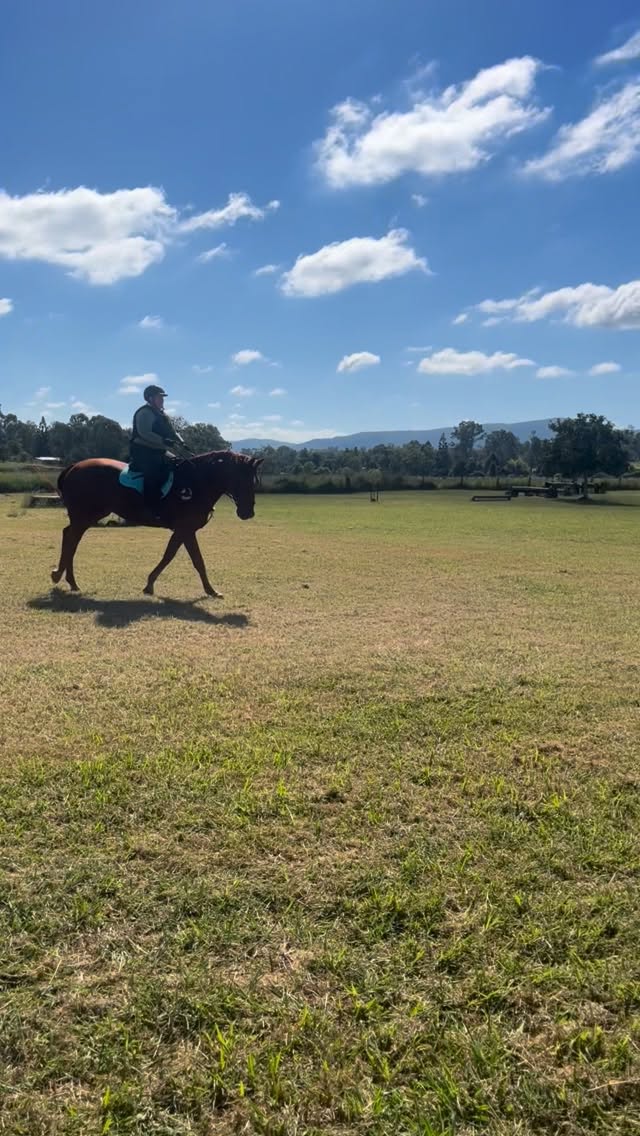 Great morning teaching some awesome ladies and their beautiful horses☘️
