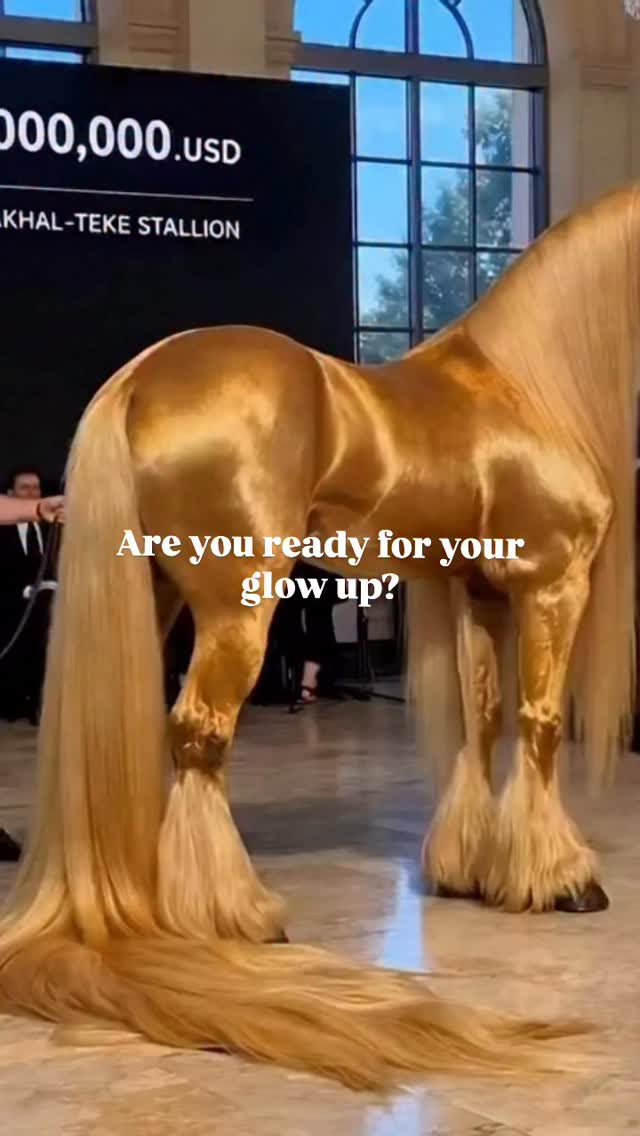 Horse women are notorious for spending money on their horses…
but not on themselves.
We take care of everyone—our horses, our families, our friends.
We give… and give… and give.
Until one day we’re running on empty.
Low energy.
Brain fog.
Body aches.
Hormones all over the place.
A nervous system that just won’t settle.
But let me ask you something…
If this were your horse—would you ignore it?
No.
I know you.
You would do whatever it takes to help them feel their best.
So why are you any different?
It’s time to stop pushing through.
It’s time to feel good in your body again.
It’s time to take care of you.
✨ Not just so you can show up…
…but so you can actually enjoy your horses again.
Comment GLOW and I’ll help you get started glowing from the inside out! 🤍
#horsewomen #nervoussystemhealth #dailyglowduo