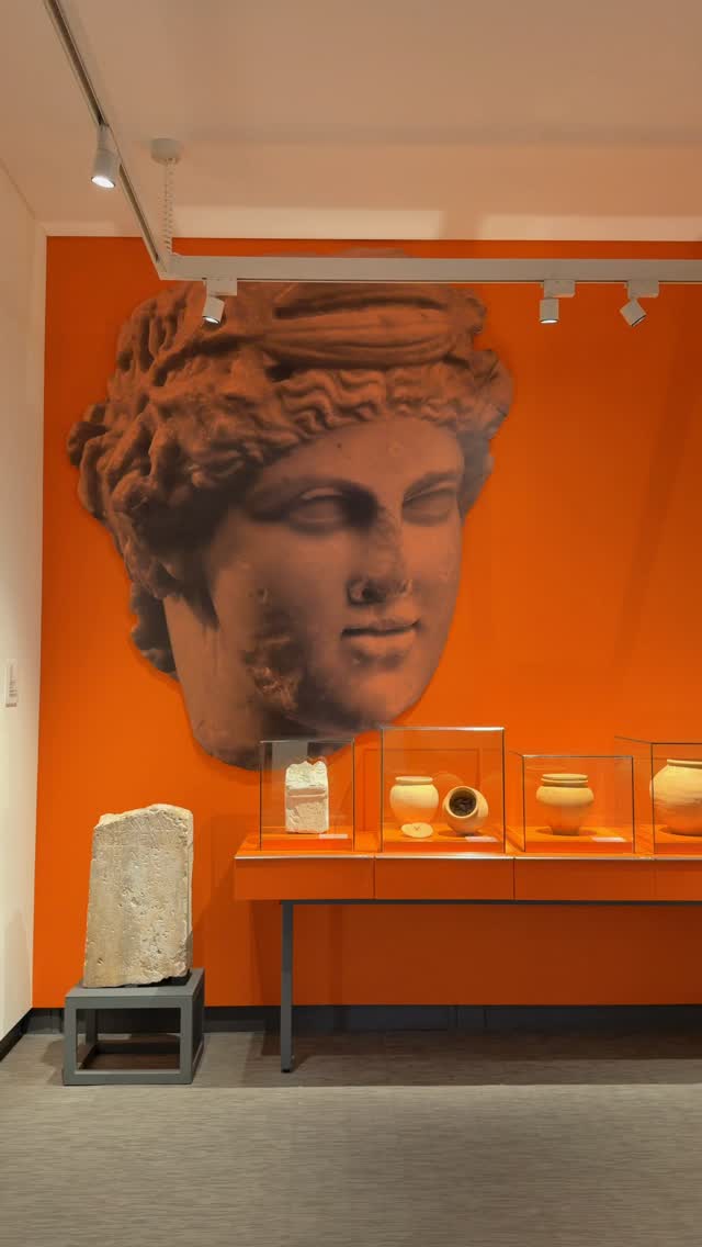 PALACIO PIMENTA. The Lisbon Museum is housed in an 18th-century summer palace, framed by the remains of an old manor house. In addition to its permanent exhibition, which showcases the city’s evolution from prehistory to the end of the 20th century, the Lisbon Museum - Palácio Pimenta features two temporary exhibition areas (the Black Pavilion and the Back Room), a documentation center, a shop, and gardens with a café-kiosk.
As a city museum, the Lisbon Museum’s mission is to preserve, map, and showcase the richness of one of Europe’s oldest cities, revealing its historical evolution and that of the population that passed through it.
By showcasing the different dimensions of Lisbon’s history, the Museum seeks to highlight the cultural, social, economic, political, anthropological, and territorial identity of Lisbon, and to awaken curiosity about the physical location and occupation of the city throughout the ages, and its relationship with the river as a link between its banks and a gateway to the world.
@museudelisboa