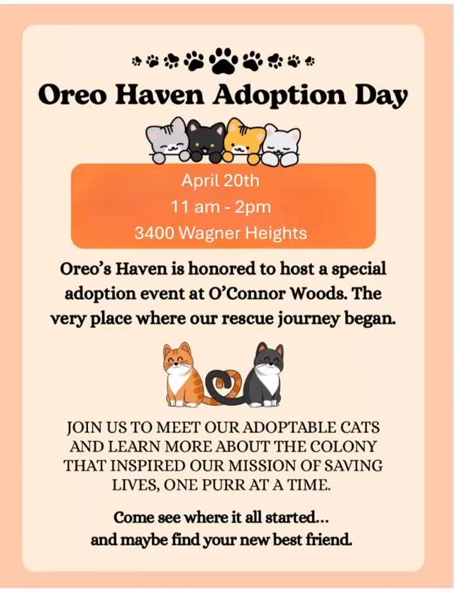 Oreo’s Haven Adoption Event
Join Oreo’s Haven for a special adoption event at O’Connor Woods — the very place where our rescue journey began.
Meet our sweet adoptable cats and learn more about the colony that inspired our mission.
📅 April 20
🕚 11:00 AM – 2:00 PM
Come see where it all started… and maybe find your new best friend. 🐾💙