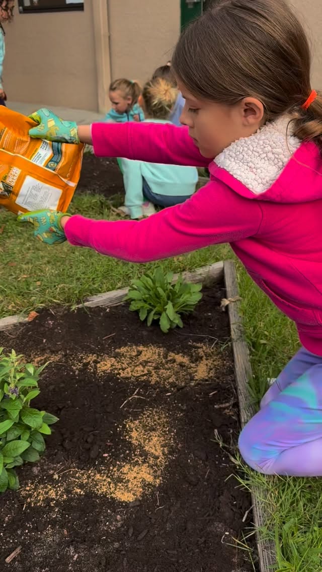 At MBAR, connecting with nature isn’t a field trip, it’s part of the curriculum. We believe that real learning happens when children get their hands in the soil, care for living things, and experience the world beyond a screen. From our school garden to our agriculture program, we are raising children who are rooted in nature, in curiosity, and in their education. 🌱 Learn more at rockledgemontessori.com (http://rockledgemontessori.com/)
#montessori #bilingual #nature #agriculture