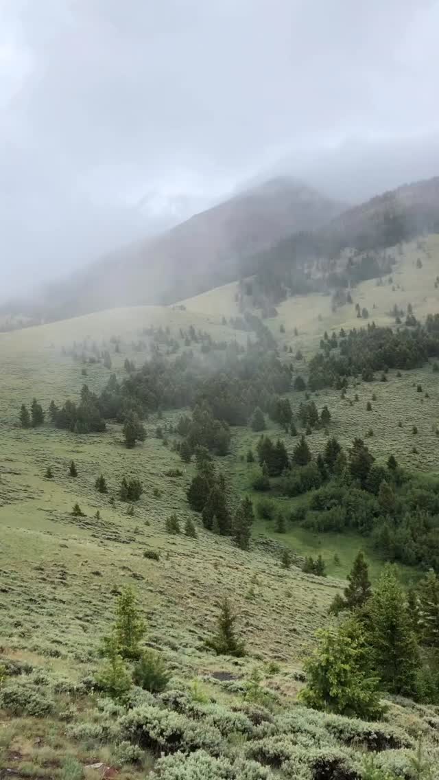 From @dan_baileys_outdoor_co There’s more weather in the forecast, and it won’t be long before the hills are emerald again. Stop by the shop for early season hiking ideas and to check out what’s new for packs, apparel, footwear and more.
#HikeMontana #ParkCountyMontana #DanBaileysOutdoorCompany #DanBaileysOutdoorCo #DanBaileys