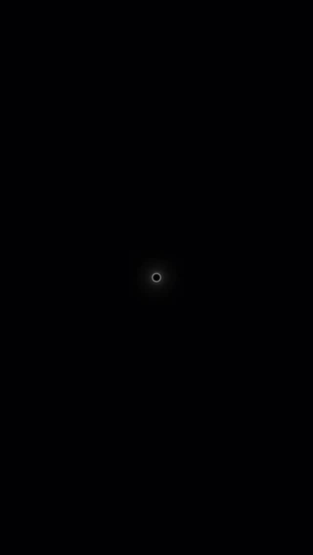 😎
.
.
.
.
#cool
#katzenpension
#checker
#cat
#fellliebe