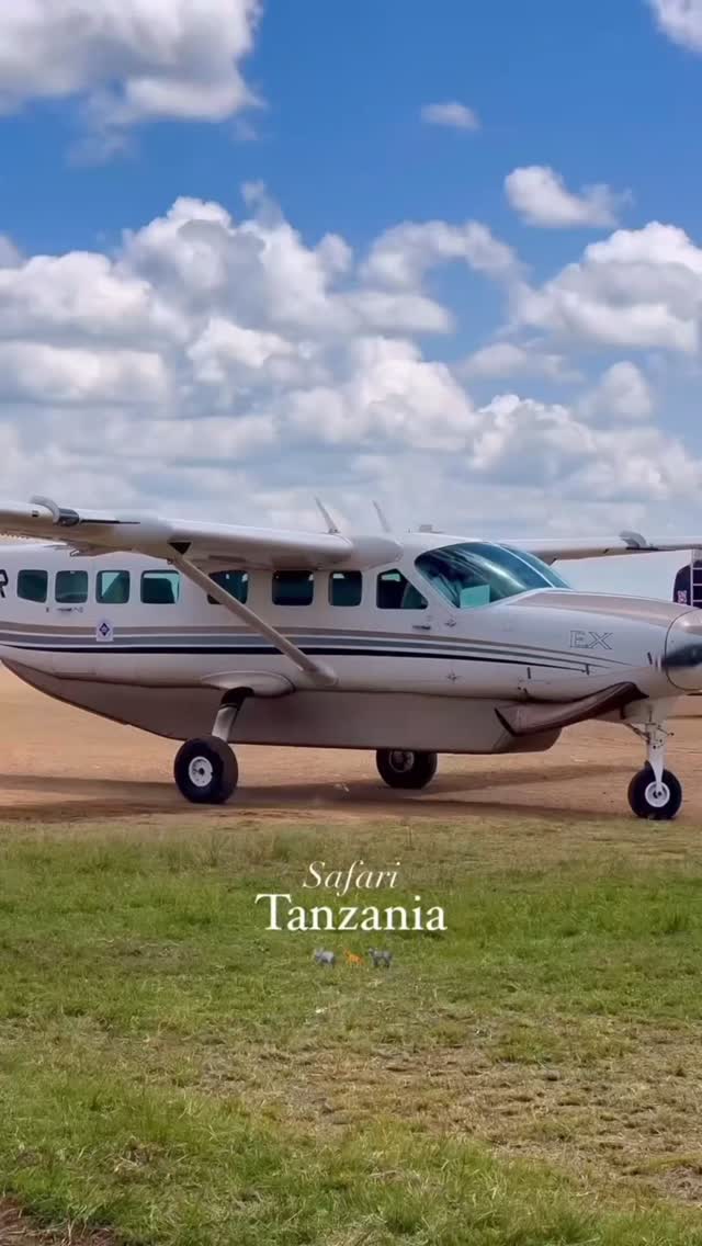 Experience the wild like never before 🦁✨
Your Tanzania safari adventure starts here.
📩 info@gnadesafaris.com
📲 WhatsApp: +255793832959
#gnadesafaris #TanzaniaSafari #SafariExperience #VisitTanzania #AfricanAdventure