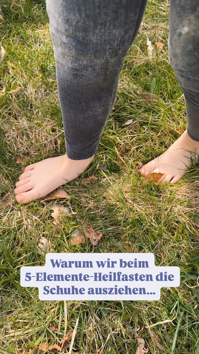 Wenn der Frühling erwacht, zieht es uns beim 5-Elemente-Heilfasten ganz intuitiv nach draußen. Und das Beste, was du jetzt für deinen Körper tun kannst? Die Schuhe stehen lassen.🦶🏼
Barfußlaufen über eine frische Frühlingswiese ist weit mehr als nur ein schönes Gefühl – es ist eine unglaublich kraftvolle Begleitmaßnahme während deiner Fastenzeit.
Warum? Weil unsere Füße ein Spiegelbild unseres Körpers sind.
Durch den direkten Kontakt mit dem unebenen Boden, den Grashalmen und der kühlen Erde werden die Reflexzonen an deinen Fußsohlen auf ganz natürliche Weise stimuliert. Diese sanfte Massage regt die Durchblutung an, aktiviert den Stoffwechsel und unterstützt deine Organe aktiv beim Entschlacken und Loslassen.
Gleichzeitig erdet dich der direkte Kontakt zur Natur. Du kommst raus aus dem Kopf, rein in den Körper und findest zurück in deine Mitte – genau das, worum es beim 5-Elemente-Heilfasten geht. Denn das einzig Wahre liegt im Einfachen.✨
Deshalb gehört die Stimulation der Reflexzonen (auch durch unsere wohltuenden Vita-Flex-Fußmassagen) fest zu unserem ganzheitlichen Konzept im Vitaleum.
Wann bist du das letzte Mal barfuß über eine Wiese gelaufen? Schreib es in die Kommentare! 👇
#5elementeheilfasten #heilfasten #barfusslaufen #reflexzonen #erdung