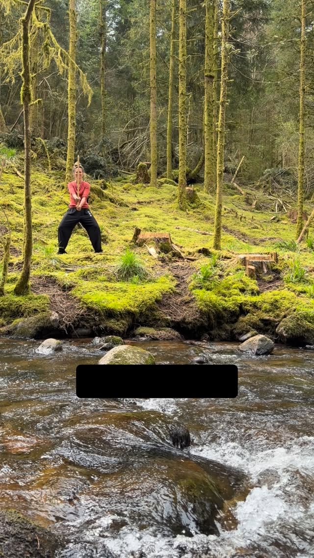 Bewegen als water. Kracht vanuit ontspanning. Trainen van Aiki-Tao. #vreedzamekrijgster