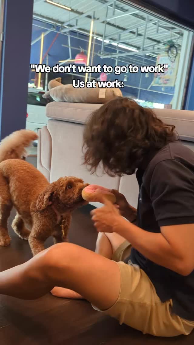 Being around cute fur babies all day? sign me up ๐