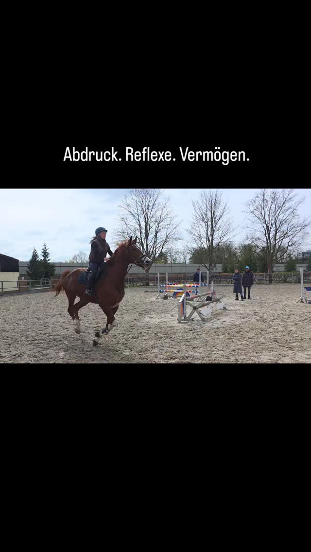 Abdruck, Reflexe und Vermögen – genau das bringt Pheline mit.
Dazu eine sehr ansprechende Optik und eine ehrliche Art am Sprung.
Ein Pferd mit Qualität und Perspektive für den Sport.
📩 Bei ernsthaftem Interesse gerne melden.
#springpferd
#verkaufspferd
#pferdeverkauf
#sportpferd
#hannover