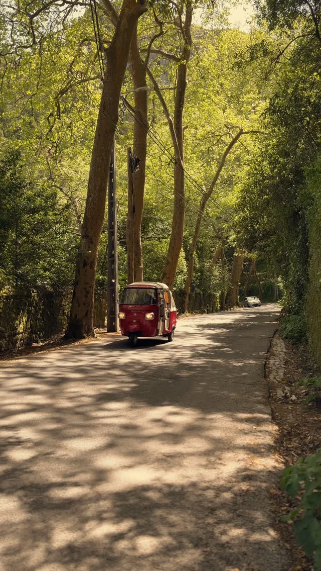 Chalet Biester – the film set for Johnny Depp’s ‘Nineth Gate’
Just a bit above the village, in our view, there is a mansion called Chalet Biester. Its black roof with turquoise trimming causes a lot of questions and awakes the curiosity of many Sintra visitors. Yes, it is where the Roman Polanski thriller ‘The Nineth Gate’ was filmed, starring Johnny Depp. There and a bit of everywhere in Sintra. Yes, the Biester Palace is open to the public and can be visited every day of the week
Frederico Biester, a Portuguese journalist and playwright of German origin, famous in his time, ordered this mansion to be built in around 1880 from the architect José Luis Monteiro. Its interior was conceived by the famous Italian that worked on Quinta da Regaleira, also in Sintra, and the sceneries of La Scala Opera in Milano, and theater São Carlos in Lisbon: Luigi Manini – and the sculpture Leandro Braga. Biester asked Monteiro to use the English style called ‘Queen Ann’ style, a mixture of Neo-Gothic and Neo-Romantic.
@biesterpalace
@visitsintra.oficial
@johnnydepp