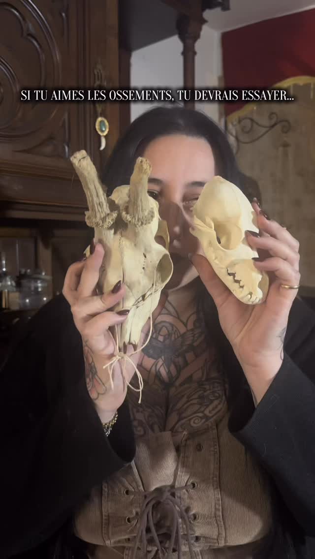 Je fais des bijoux avec des os, retrouve tout ces modèles sur ma boutique en ligne (lien dans la bio)
Tout les ossements sont de source éthique 🦷🌱
Bijoux os, bijoux alternatifs curiosités victorien gothique