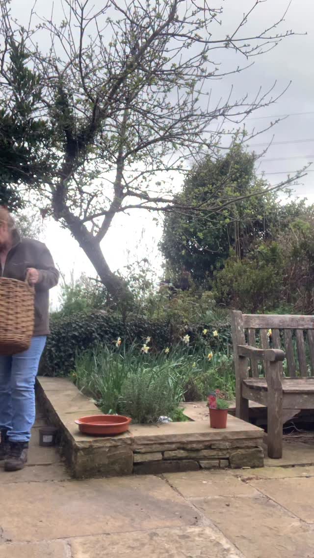 Spent the afternoon in the workshop making a cheeky little willow log basket to practice slewing - a weave that I don’t do often. Not perfect but not bad - and totally functional. The logs will be very happy I think 😊 🪵 🔥
#basketmaker #slewing #willowbasket #logbasket