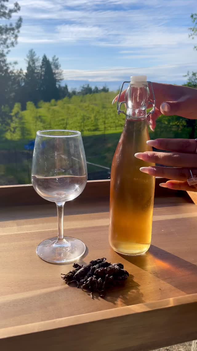 When the music and the tea hit all the right notes!
Zomba Pearls are a rare expression of white tea, each pearl hand-rolled from a single, unbroken leaf.
Rare notes of cashew, apricot, and honeysuckle make this the champagne of teas 🥂
Heavier bodied than most white teas makes it perfect iced on a warm evening.
Only 20kg a year are produced by @satemwa_tea_coffee
#malawitea #raretea #teaconnoisseur #whitetea #uniquetea
