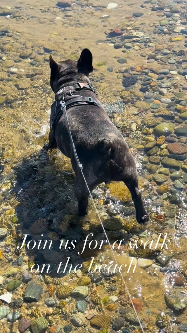 Provincetown: Always in Season
#TheGaslampPTown #ProvincetownLuxury #ModernVictorian #BoutiqueStay