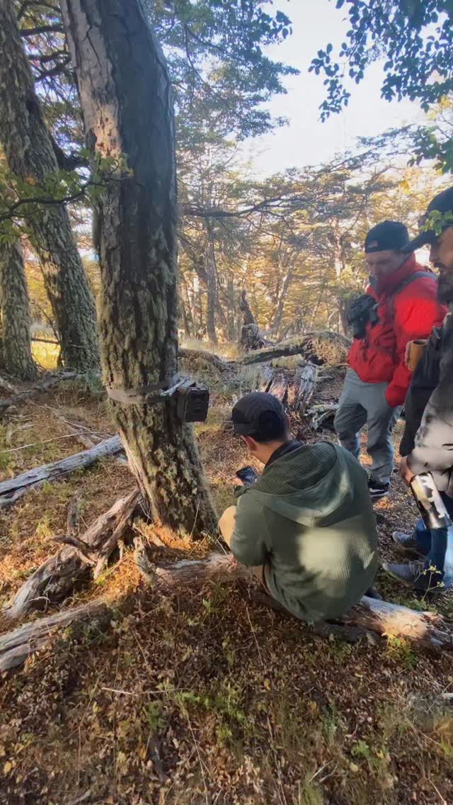 La conservación también se comparte en terreno 🌿📸
A través del Safari de Conservación, quienes visitan Cerro Guido pueden conocer de cerca cómo usamos las cámaras trampa para entender la vida silvestre y observar aquello que muchas veces ocurre lejos de nuestra vista 🐆
Cada registro es una oportunidad para acercar a más personas al territorio y mostrar que la conservación comienza aprendiendo a observar.
-
Conservation can also be shared in the field 🌿📸
Through the Conservation Safari, visitors to Cerro Guido can experience firsthand how we use camera traps to better understand wildlife and observe what often happens beyond our sight 🐆
Each record is an opportunity to connect more people with this landscape and show that conservation begins with learning how to observe.
#ConservationSafari #CameraTrap #Patagonia #WildlifeMonitoring #CerroGuido