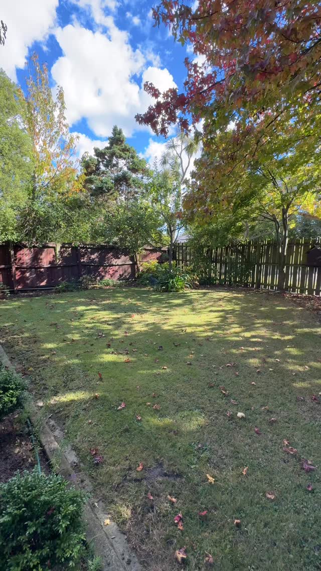 Arrived yesterday in Christchurch, my birth place. Staying at the Brahma Kumaris centre here. The garden is really looking fabulous. Especially on such a warm and sunny autumn day