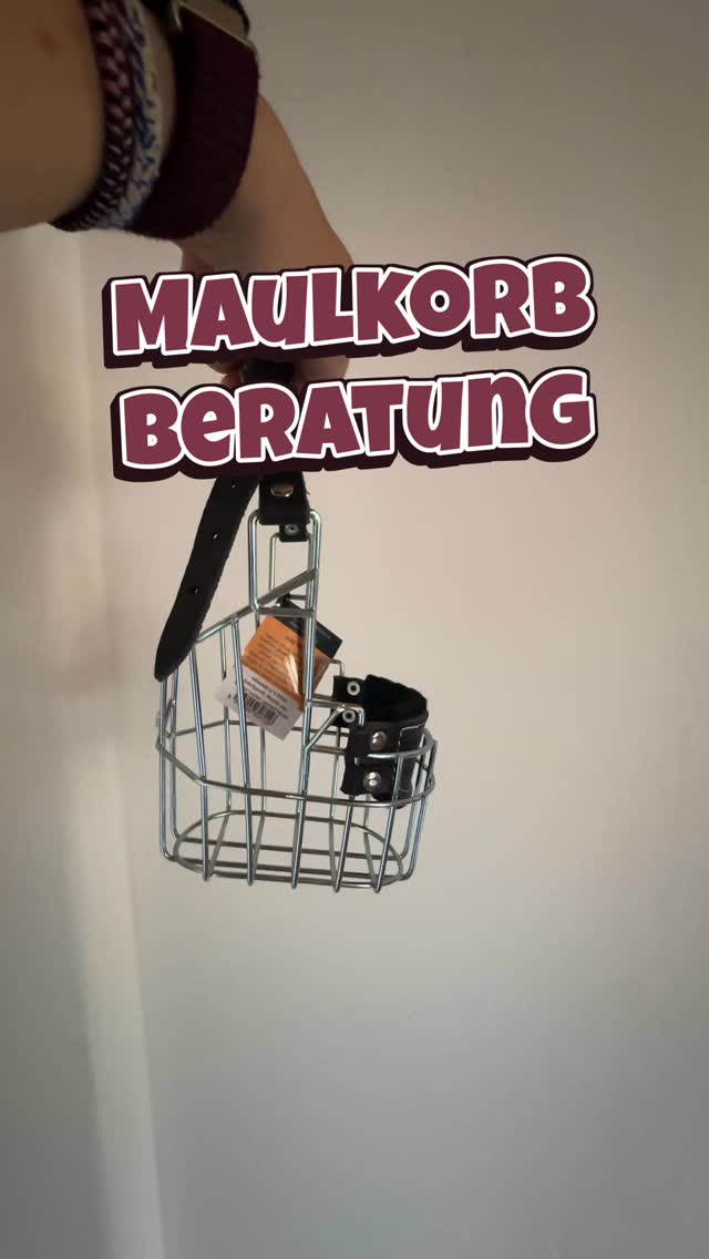 Neuer Maulkorb + Anpassung in Weinrot für eine Kundin mit ihrem Hund 🤗❤️
Du brauchst einen Maulkorb für Urlaub, ÖPNV, Tierarzt, Alltag? Dann melde dich bei mir ☝🏼
Ich biete dir Beratung bei der Auswahl des passenden Maulkorbs, Anpassung an deinen Hund, Individualisierung.
#maulkorb
#maulkorbberatung
#chopo