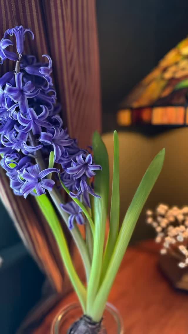 Spring awakening at The Gaslamp. Historic soul. Modern sophistication. 🌿✨ Enjoy 15% off a two night stay or 20% off a three+ night stay in April and May.
Provincetown: Always in Season
#TheGaslamp #ProvincetownSpring #ModernVictorian #BoutiqueInn #SpringBlooms2026