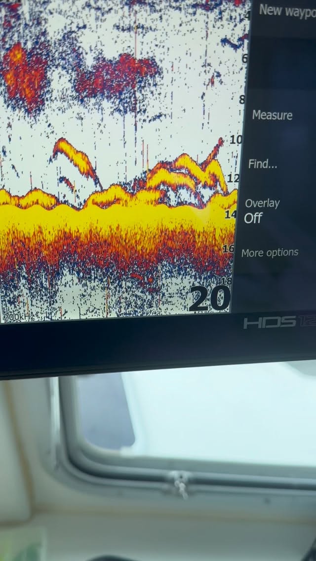 Last year on this week we saw that first wave of fish… will history repeat itself? 👀🔥
We’re ready to find out.
🚨 OPEN BOAT – TOMORROW (TUESDAY) 🚨
🕖 7AM departure
💰 $150 per person
Don’t miss your shot at the first push of the season. You already know we’ll be on them 💯
📞 Hit Captain Pedro to lock in your spot: 914-494-6269 #bluefinsoundcharters #newrochelleny #bass #fishing #fyp