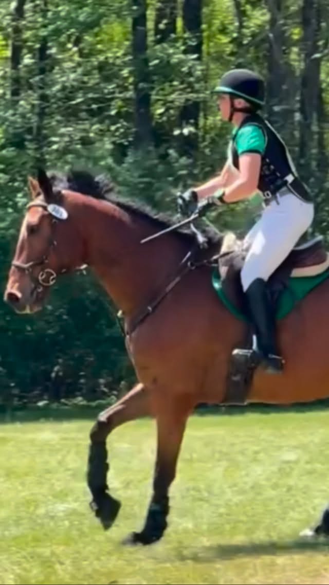 Hero had a great weekend at Longleaf Horse Trials with a great result landing him with a ribbon as well! He was ready to blaze the cross-country with a double clear round! He was hilarious taking a good sand roll after! #millereventing #jukeboxhero🍀 #carolinahorsepark #longleafhorsetrials