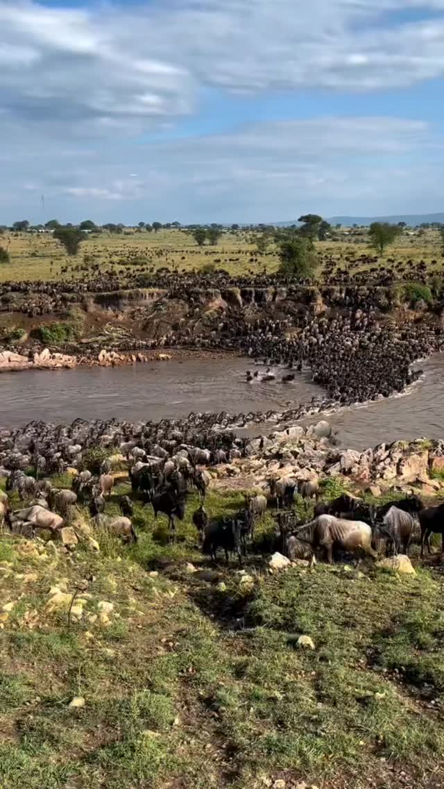 Front-row seats to one of nature’s greatest shows
The Serengeti Great Migration is calling… and this is your chance to witness millions of wildebeest and zebras in motion from July to October, a once in a lifetime experience you’ll never forget.
Book your adventure with Wenzi Travel today and secure your spot before it’s gone!
WhatsApp: 0769 992 291
Email: info@wenzitravel.com
