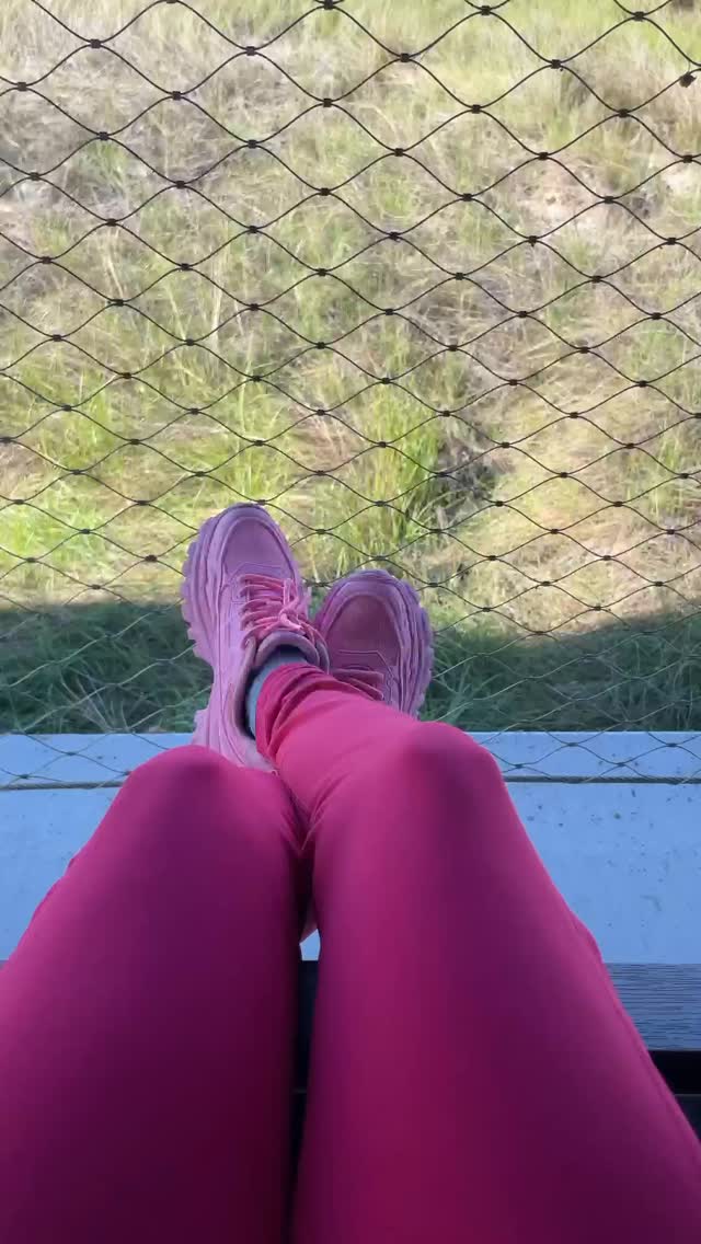 Aqui não é o “ É o Tchan” mas tem jacaré pra tudo quanto é lado 🐊
Quer saber mais sobre o Fakahatchee Strand Preserve State Park? Vai lá no meu blog que eu te conto tudo o que você precisar saber antes de visitar.
#southwestFlorida #florida
