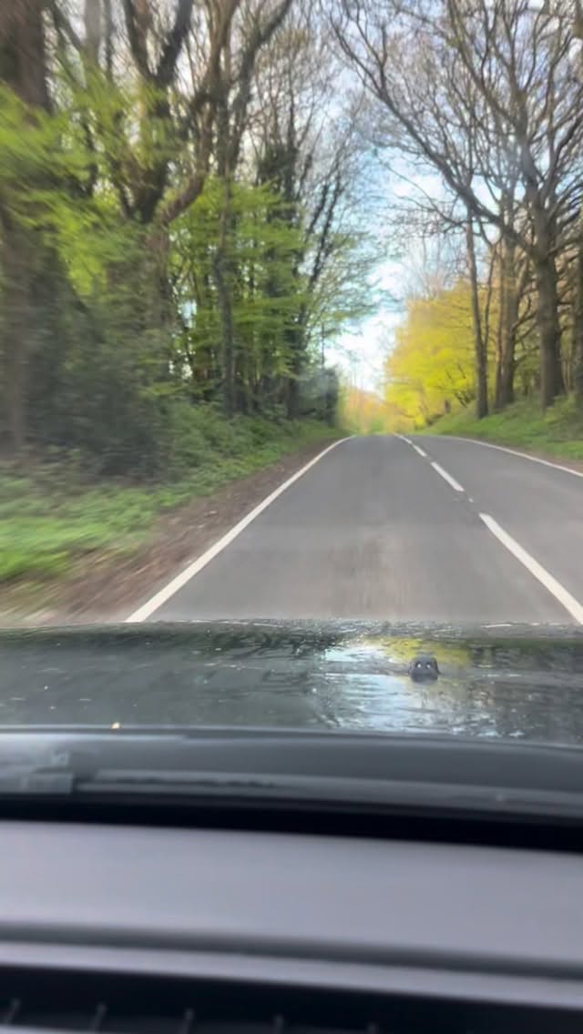 ✨Brighton Marathon 2026✨
Rare personal post on the grid but I’ve been spamming you all in my stories for months and I can’t believe this has actually happened so need a permanent reminder…
Yesterday I ran my first ever marathon @brightonmarathonweekend for @stchrishospice and it was one of the best days of my life. The support from the city was just incredible. I loved every second (apart from kms 38-40 running into the wind which can get in the bin). Coach Simon @pb_runneruk and Gabriella @seridafitness got me to the start line in one piece. My family and besties @mcgrath.annie @emmaoconnellgardendesign @xxalice.0xx braved the trains and the crowds and cheered me on and looked after me at the end and gave me the courage to take my shoes and socks off (may not put them back on again for a week).
It was one of those days where humanity was awesome. I loved the signs, loved the shout outs, loved the orange slices and the jelly babies and the high fives with all the children in the crowds. I am so grateful that I was able to run a marathon, it’s such a privilege! Brighton you were the best 💕💕💕
Sponsorship link in my highlights if anyone would like to sponsor St Christopher’s Hospice and the amazing work they do providing end of life care.