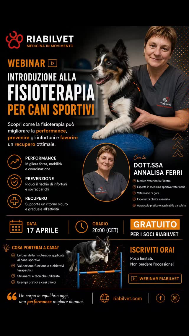 ⚡ Il paziente sportivo non perdona errori
Un salto sbagliato.
Un carico mal gestito.
Un recupero fatto male.
E quello che sembrava un piccolo problema…
diventa una lesione che cambia tutto.
🧠 La domanda non è:
come trattare un infortunio
👉 ma come evitarlo, riconoscerlo e gestirlo davvero
🎥 WEBINAR RIABILVET
🐾 Introduzione alla Traumatologia Sportiva
Un incontro pensato per chi vuole smettere di “inseguire il problema”
e iniziare a prevenirlo e controllarlo.
👩⚕️ Con la Dott.ssa Annalisa Ferri
Una professionista che lavora dove la teoria incontra la performance reale:
✔ riabilitazione
✔ medicina sportiva
✔ gestione del paziente atleta
✔ esperienza sul campo (letteralmente)
📅 17 Aprile
🎯 Gratuito per i soci RIABILVET
🔍 Cosa porterai a casa?
✔ una nuova visione clinica
✔ strumenti pratici
✔ capacità di leggere il paziente sportivo in modo diverso
⚠️ Questo non è il solito webinar
È per chi vuole:
👉 lavorare meglio
👉 prevenire di più
👉 distinguersi davvero
💬 Perché il futuro non è trattare di più.
È trattare meglio.
🎟️ Accesso riservato ai soci
👉 Se non sei ancora dentro, stai già perdendo valore
#Riabilvet
#VeterinarySportsMedicine
#RiabilitazioneVeterinaria
#TraumatologiaSportiva
#VetEducation
VeterinaryRehabilitation