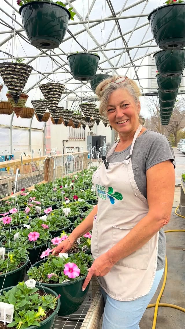 πΈ So many pretty petunias to choose from!
#Petunias #PlantNursery #Greenhouse #Spring #buylocal
