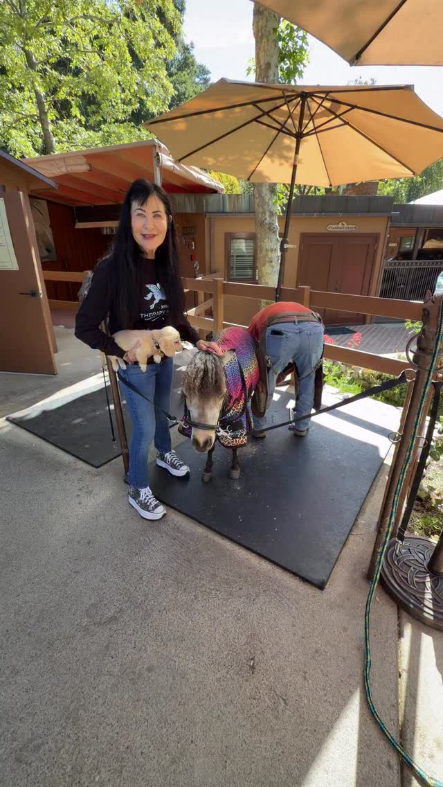We trim our minis every 6 weeks with Andreas Hernandez. Our dachshund puppy, Paloma Blue got in on the action with Penelope Von Schweets. #hooves @equusfoundation @platinumperformance #horsecare #horse #horselover #horsesanddogs #minitherapyhorses #nonprofit #wellness #fun #animals #love