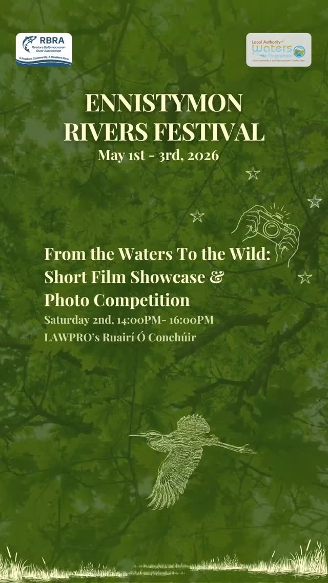 As part of our Ennistymon Rivers Festival, From the Waters to the Wild: Short Film Showcase & Photo Competition will take place at the @fallshotelandspa
This event uses film and photography to celebrate our rivers and raise awareness of the importance of water quality and biodiversity.
Join RBRA for screenings from across Ireland, highlighting the beauty and significance of our waterways. Screenings will include;
🔹Fish Live in Trees (@schooloflooking, Catchment Programme, 2025) expert shown above.
🔹Elvers in the Inagh (School of Looking, Catchment Programme, 2025)
🔹Listen to the Fields (School of Looking, Catchment Programme, 2025)
🔹Dinnseanchas: Envisioning the Uplands (@hometreecharity, 2025) joined by Hometree’s @rayofoghlu
🔹Sections of @lawaters.ie Blue Dot videos
The event will also explore the power of photography to inspire behavioural change, and will mark the launch of RBRA’s Photography Competition in collaboration with the @theclarechampion and the Falls Hotel.
Saturday 2 May, 14:00–16:00, Falls Hotel
We hope to see you there! Tickets available on Eventbrite, link in bio. Take a look and see what else is happening throughout the festival!
#ennistymon #lawprofund #riverrestoration #saveourrivers #ennistymonriversfestival
