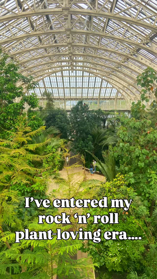 I have serious tulip envy. Don’t even get me started on the blossoms…