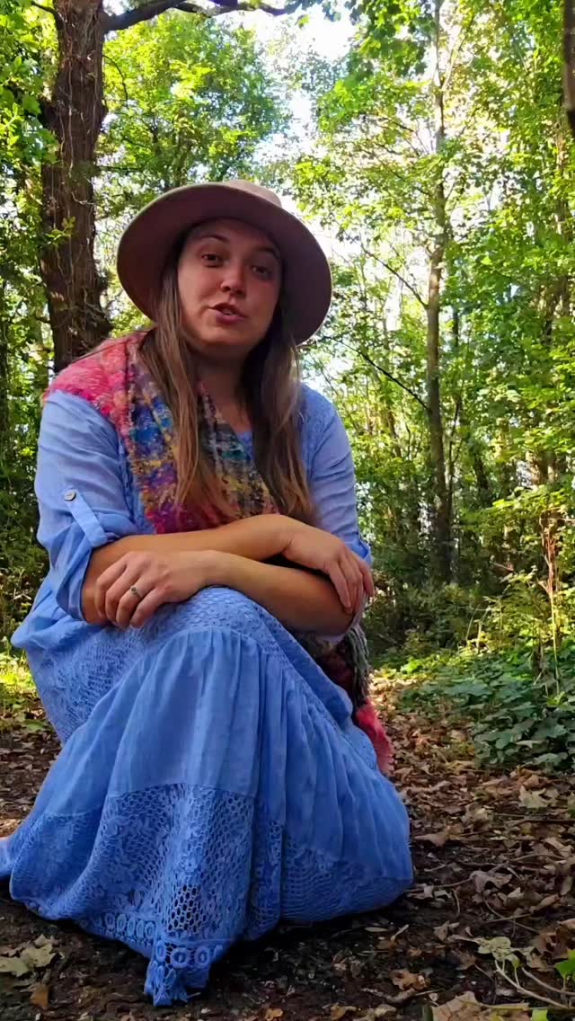 This Wandering Day from Rings of Power is one of my favourite songs to sing acapella, just me and the forest 🌿
#ringsofpower #Tolkien #thiswanderingday #Bardcore #nature